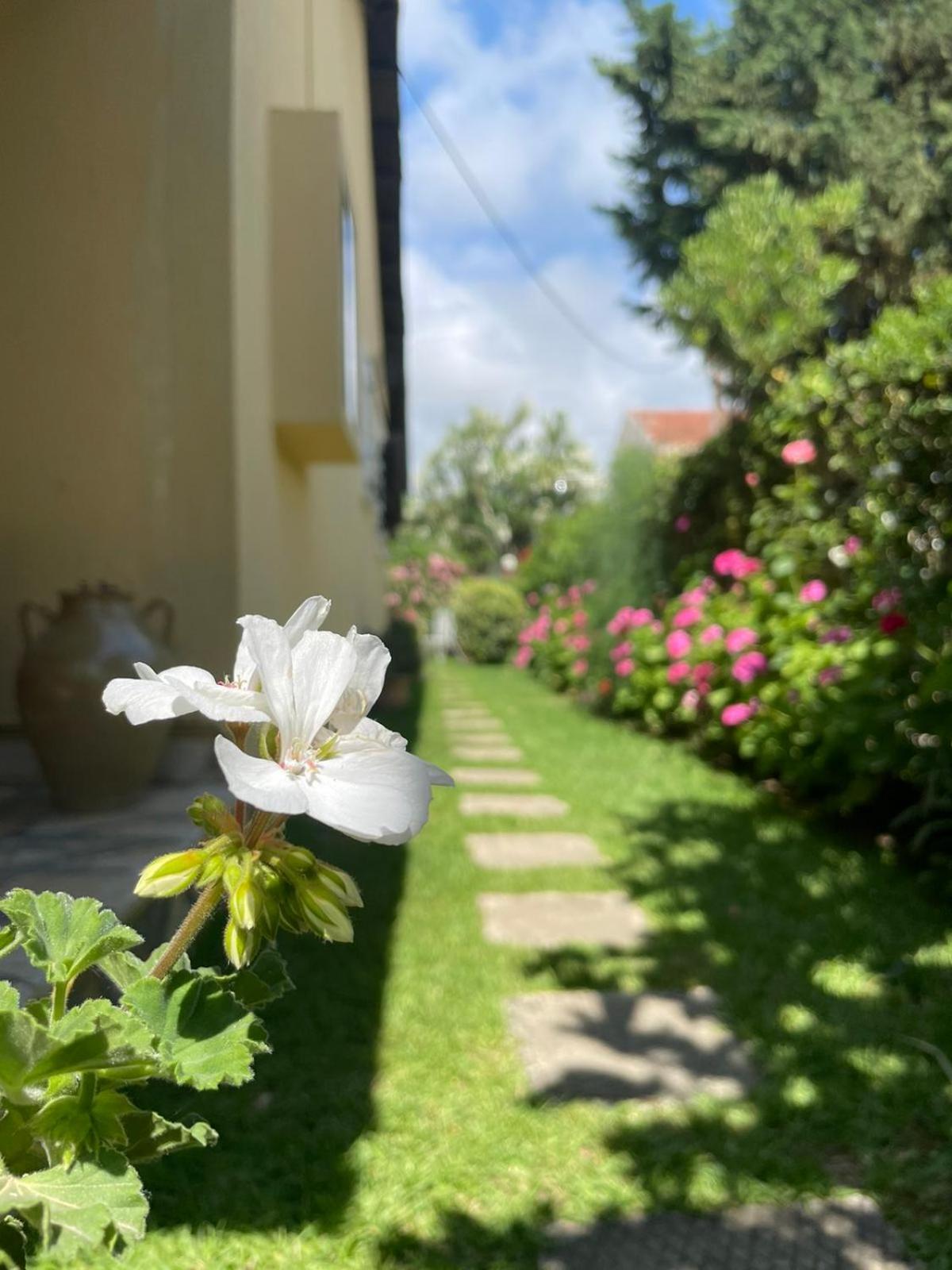 Villa Tina Country Beach Apartments Acharavi  Pokój zdjęcie