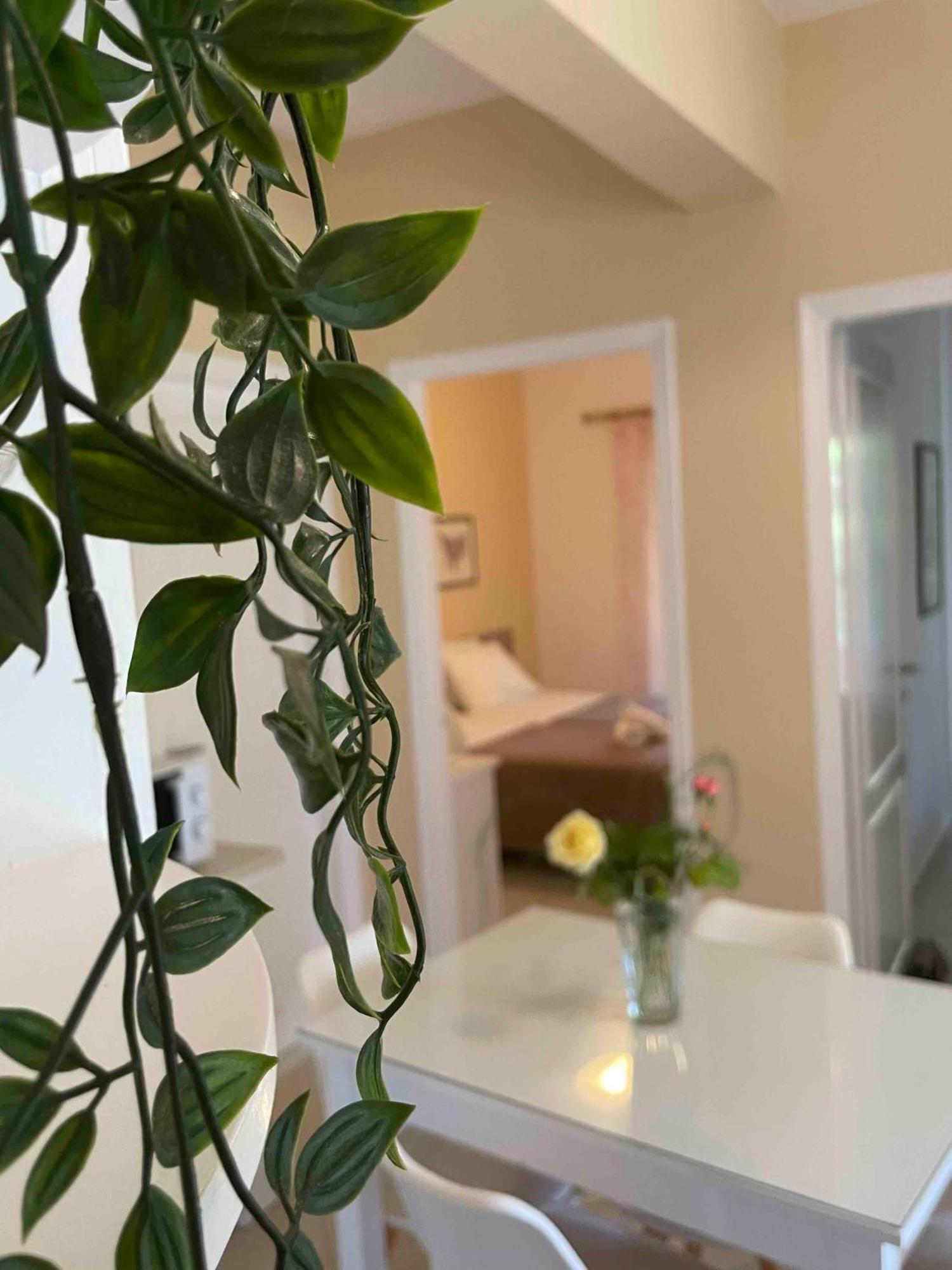Villa Tina Country Beach Apartments Acharavi  Pokój zdjęcie