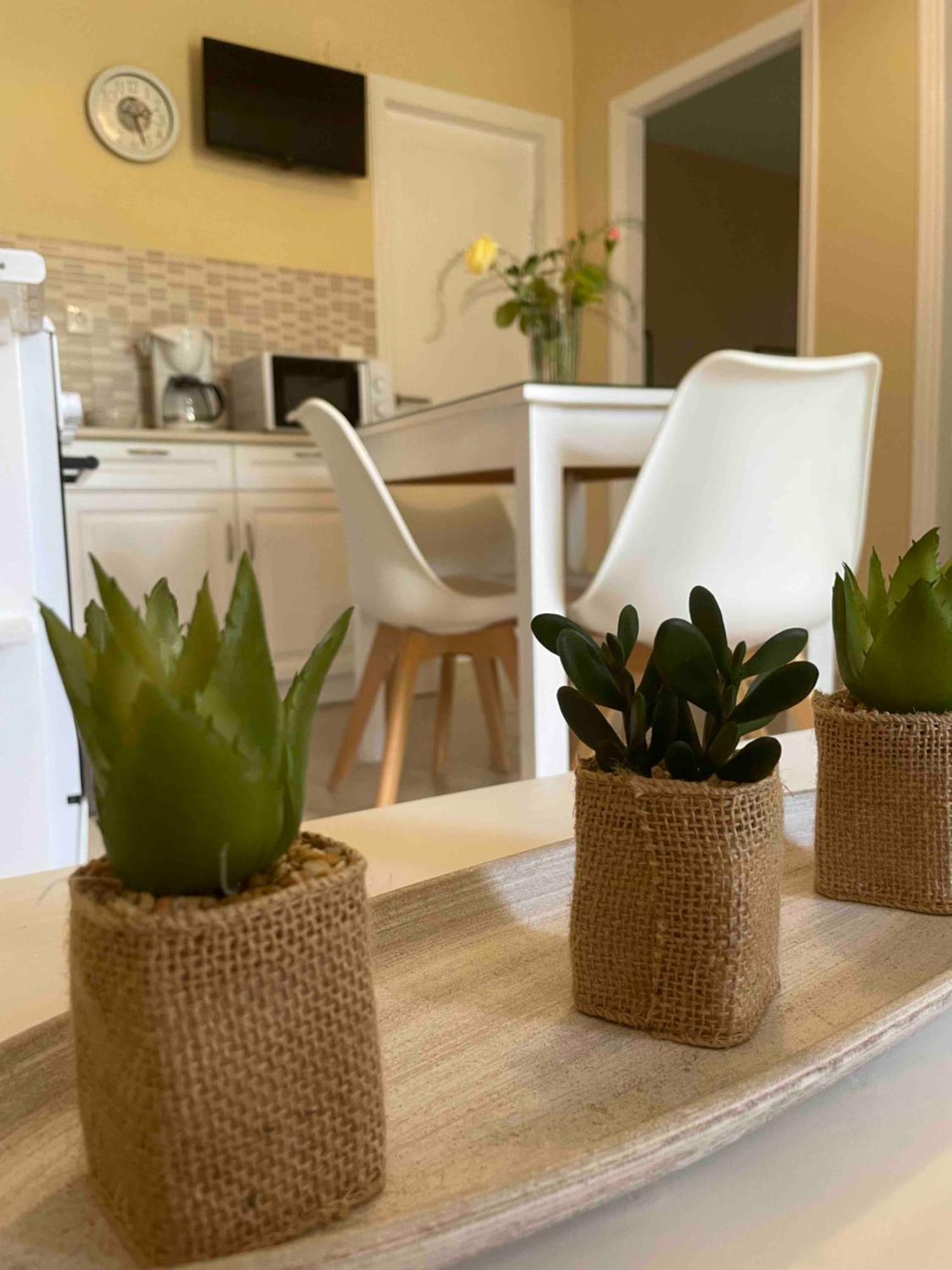 Villa Tina Country Beach Apartments Acharavi  Pokój zdjęcie