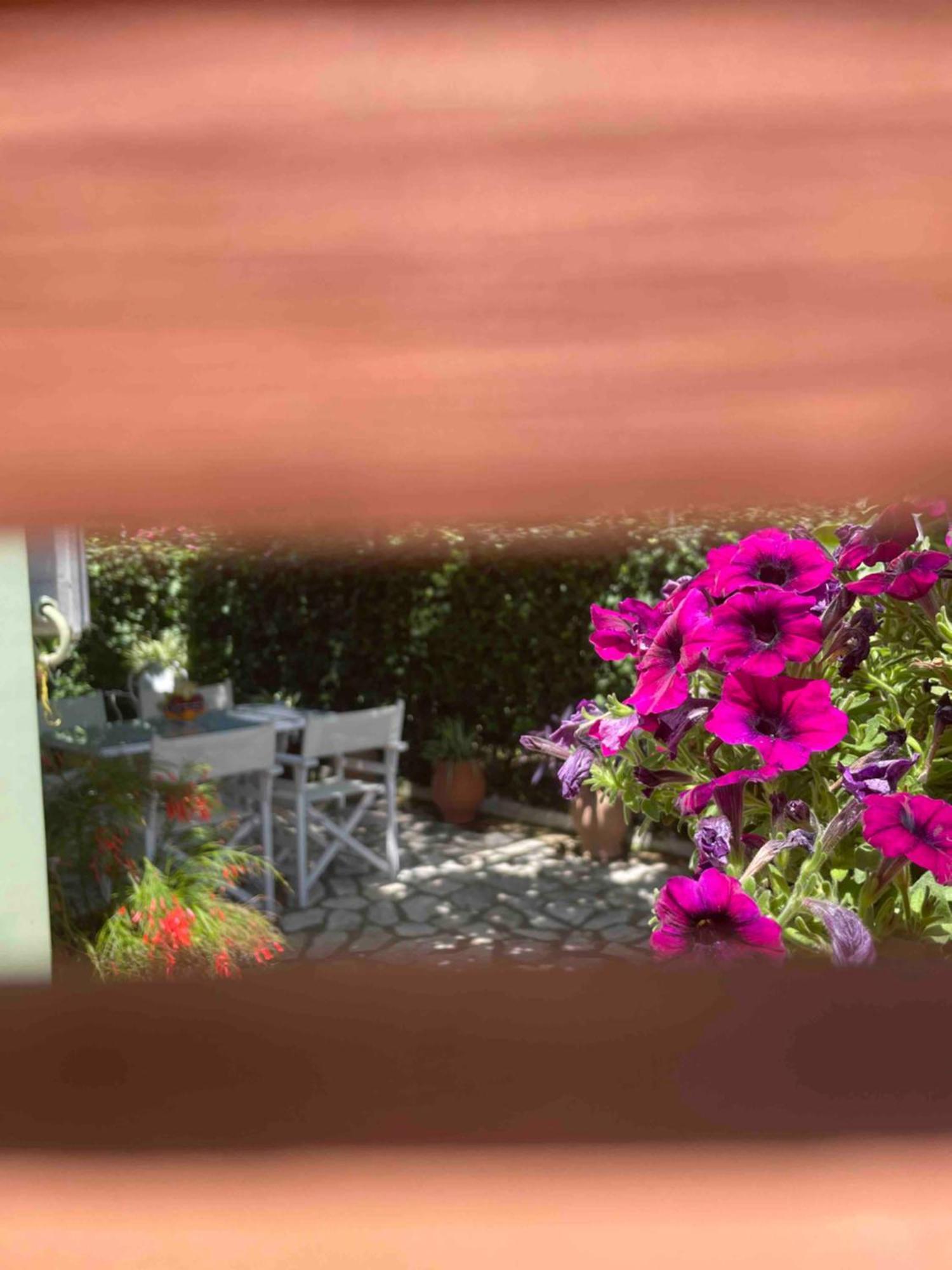 Villa Tina Country Beach Apartments Acharavi  Pokój zdjęcie
