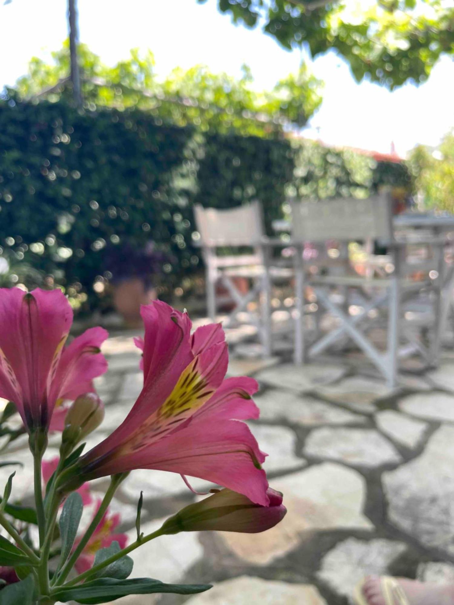 Villa Tina Country Beach Apartments Acharavi  Pokój zdjęcie